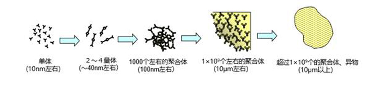 1597930654917059609.jpg aimage004.jpg