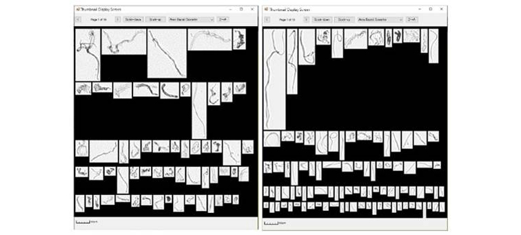 1597930685223063115.jpg aimage008.jpg