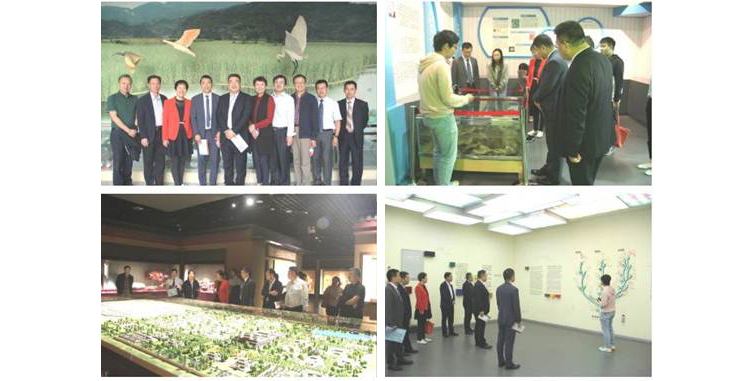 aimage020 复制.jpg