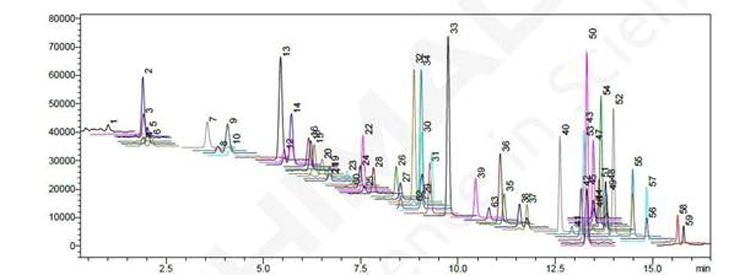 1610465874675095785.jpg aimage012.jpg