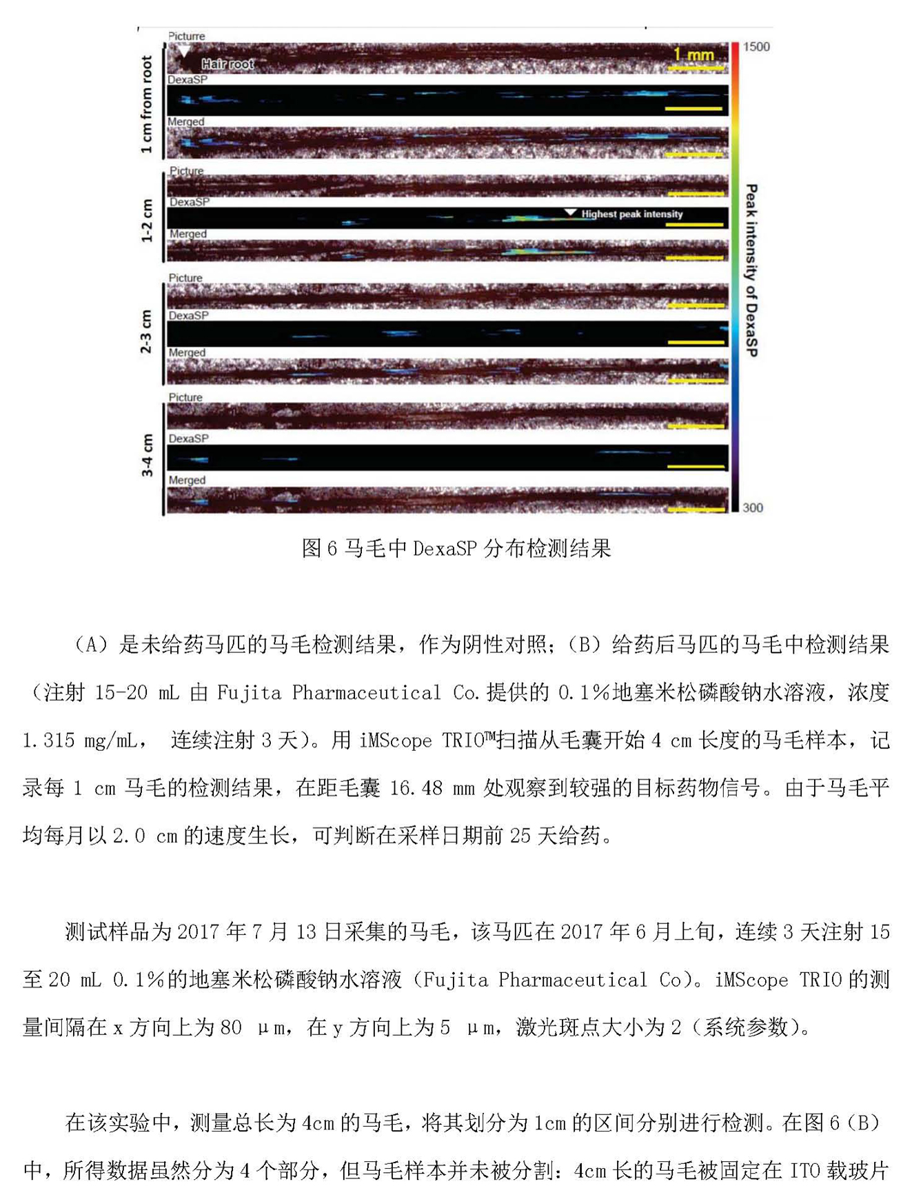 a9)88888岛津新闻 20210224-1_页面_09.jpg