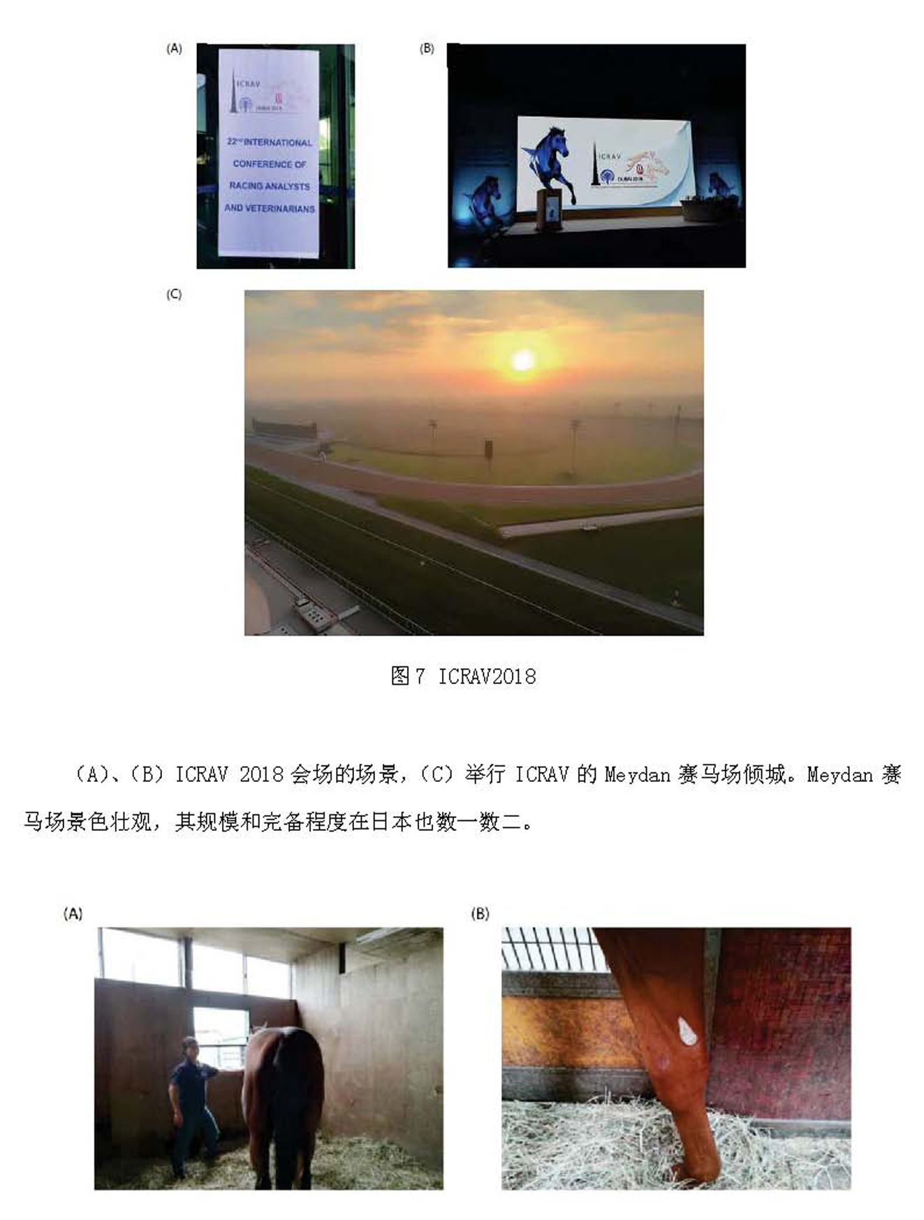 aaa12)8岛津新闻 20210224-1_页面_12.jpg