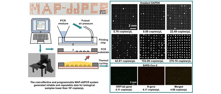 1631519713999026685.jpg aW020210910561747322657.jpg