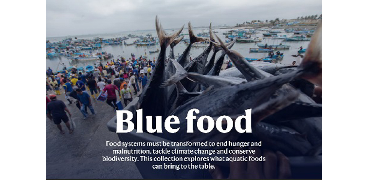 1633615448274066287.jpg aimage001.jpg