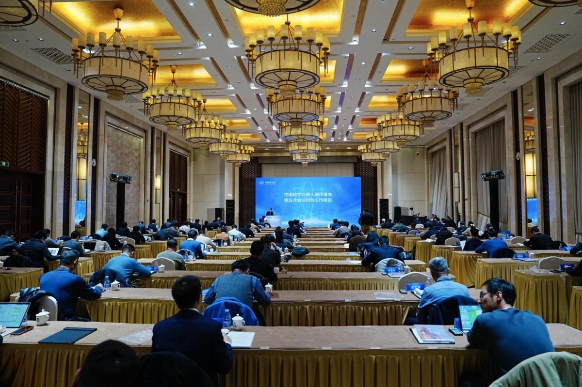 1765868090653612.png 图片7.png