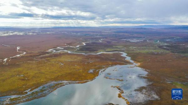 瞰黄河上游湿地秋韵