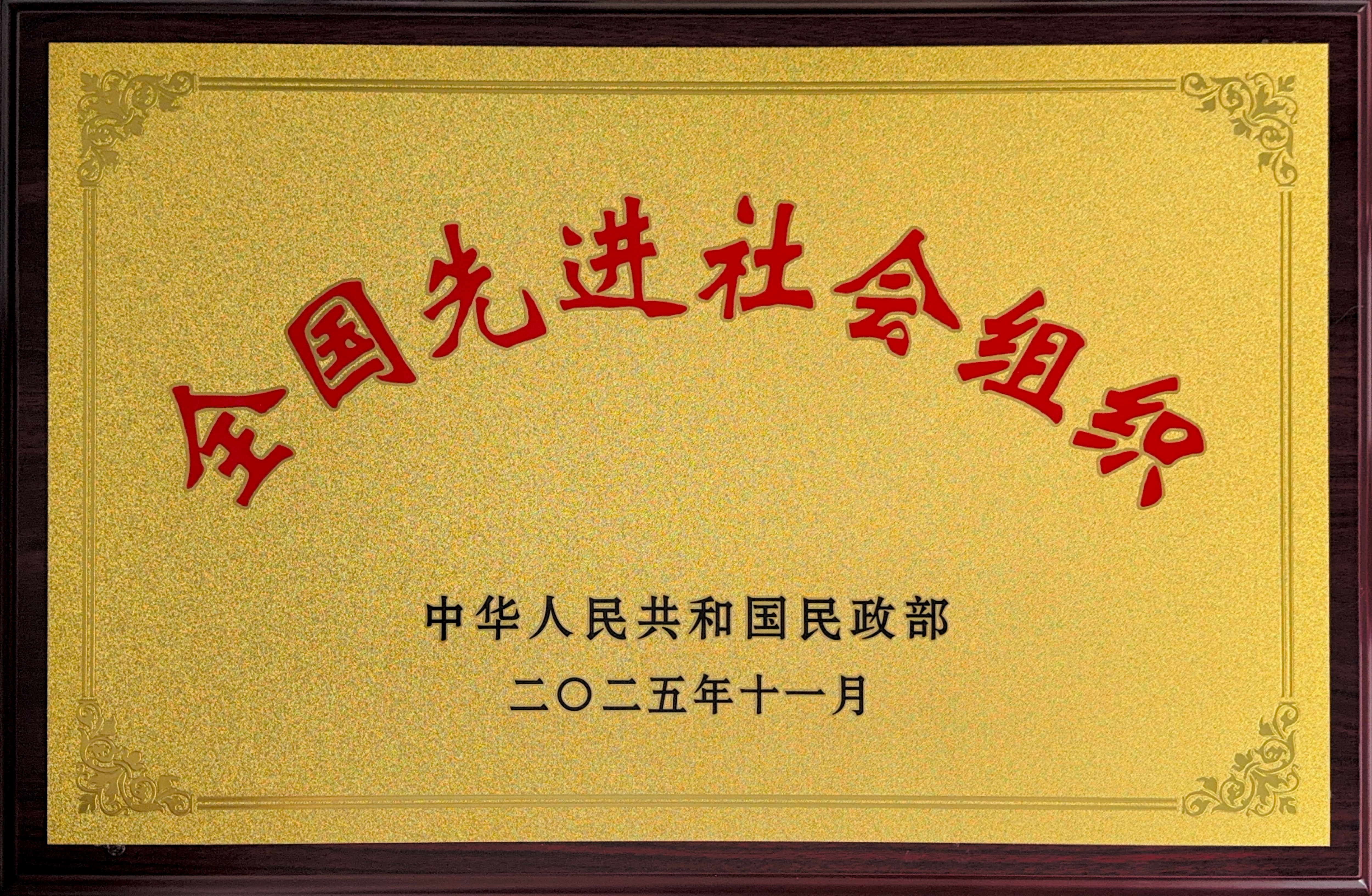 全国先进社会组织