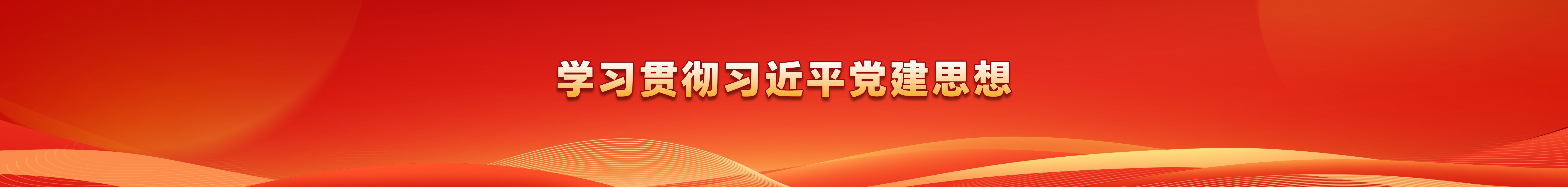 学习贯彻习近平党建思想