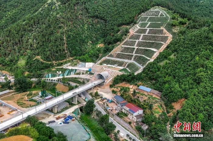 1753886611366347.jpeg 8d5494eef01f3a2949942d69b3ed87215d607c15.jpeg