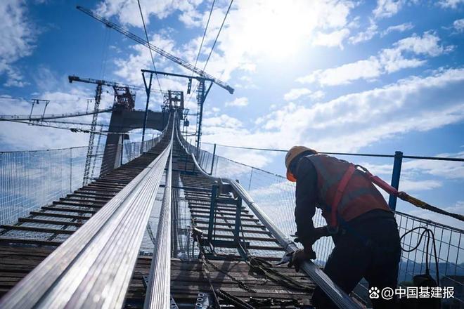 1754053325959951.jpg 下载 (8).jpg