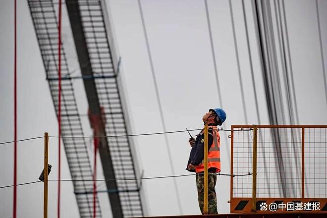 1754909356398295.jpg 下载 (7).jpg