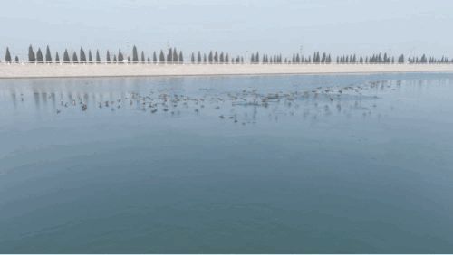 1754909986418777.jpg 下载 (3).jpg