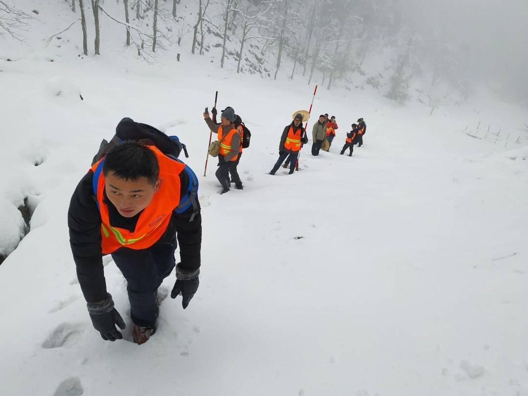 1767171828459268.jpeg d1a20cf431adcbef4d37c48e04152fcca2cc9f06.jpeg