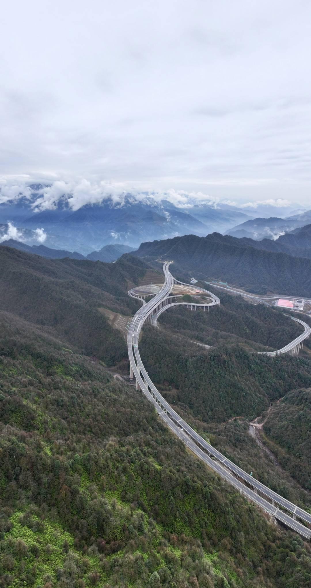 1767171835292709.jpeg 0ff41bd5ad6eddc432474a3e9161b7ec5066339a.jpeg