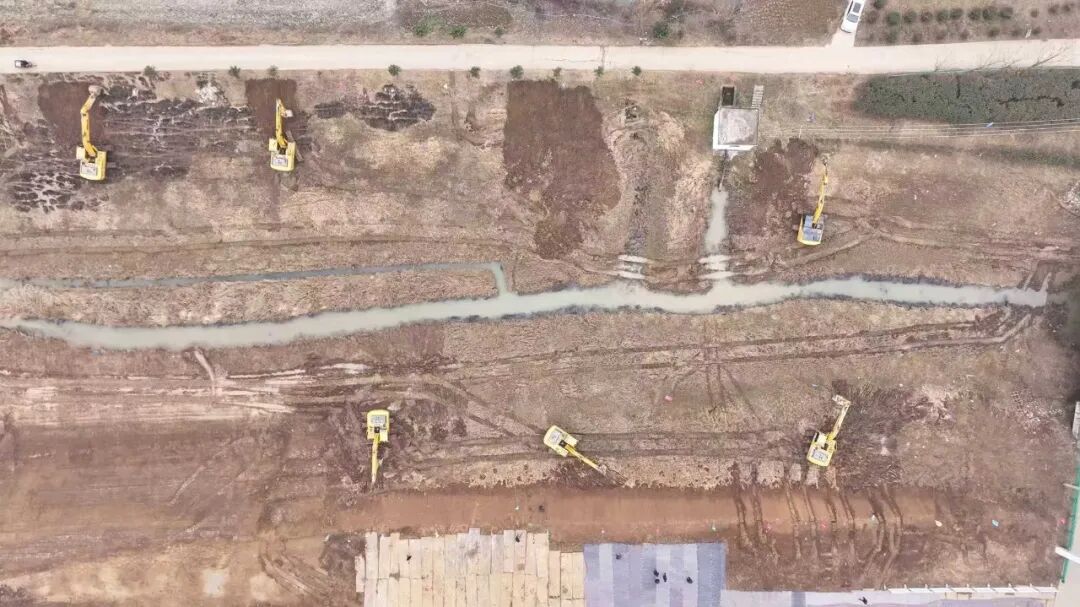 1769783853489198.jpg 640 (4).jpg