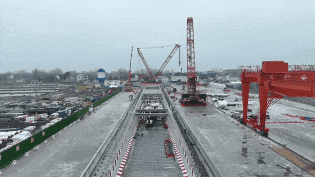 1772783686588549.gif 640 (1).gif