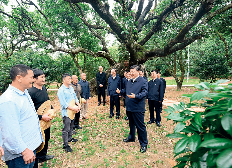 2023年4月10日至13日，中共中央總書記、國家主席、中央軍委主席習(xí)近平在廣東考察。這是11日下午，習(xí)近平在茂名高州市根子鎮(zhèn)柏橋村荔枝種植園，同現(xiàn)場技術(shù)人員親切交流。