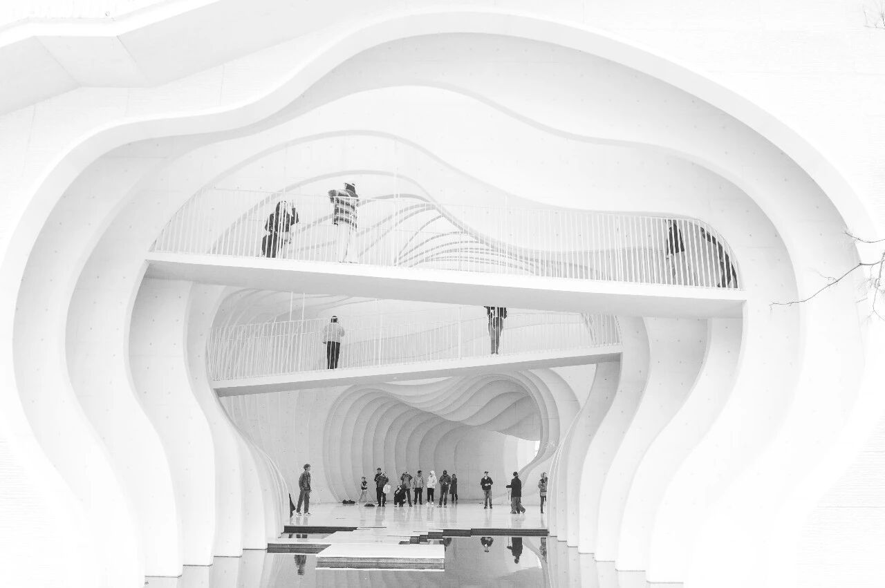 1768825367369684.jpg 0.jpg