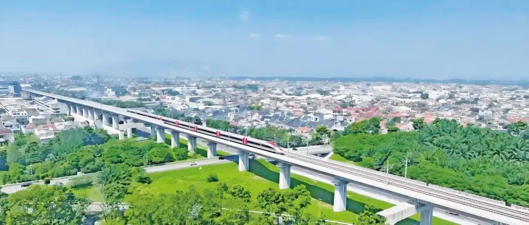 1740209965386527.jpg 302.jpg