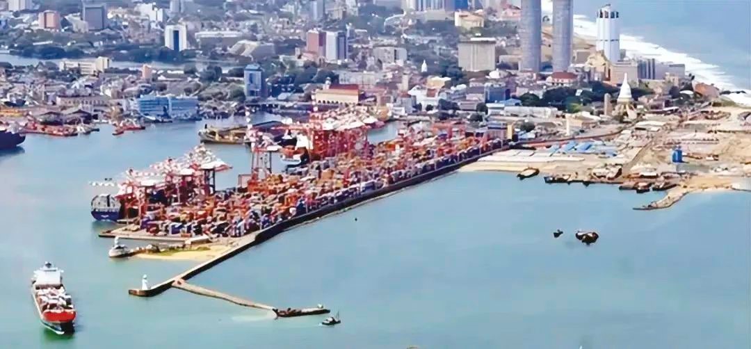 1740211044456674.jpg 305.jpg