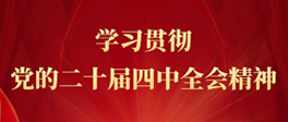 学习贯彻党的二十届四中全会精神