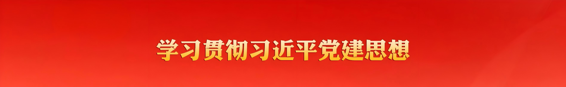 学习贯彻习近平党建思想