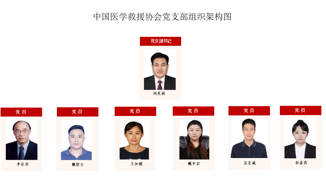 中国医学救援协会党支部