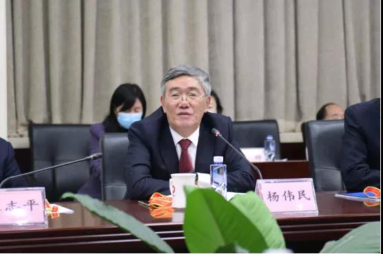 杨.jpg