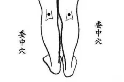 委中穴.jpg