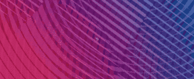 11.gif