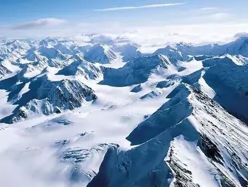 简篇-加拿大玉雕熊猫Panda Bear, Canadian Jade Carving--- By Charles C M Hu 胡昌民作