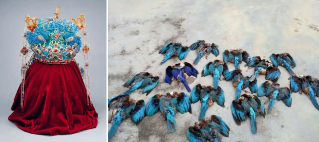 屏幕截图 2026-01-11 134721.png