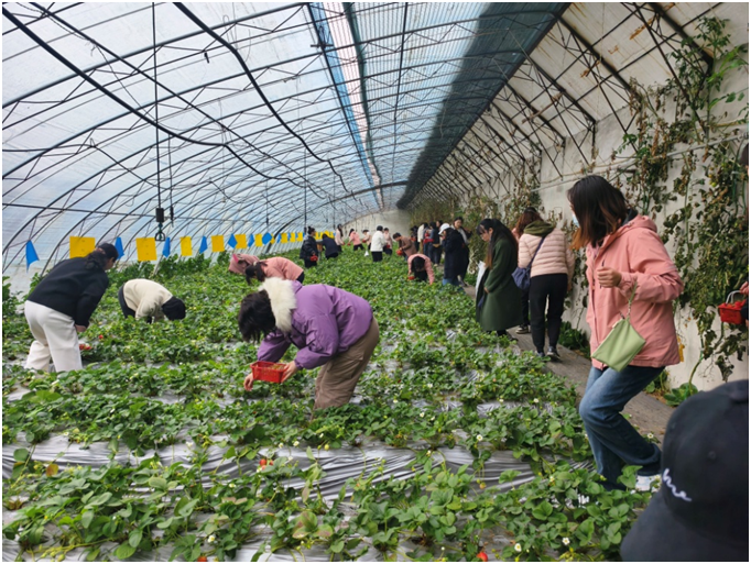 1741844739360072.png image.png