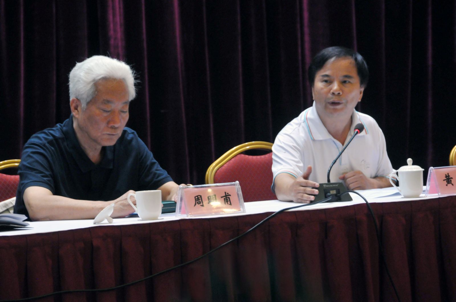 中国人类学民族学研究会秘书长黄忠彩做总结发言