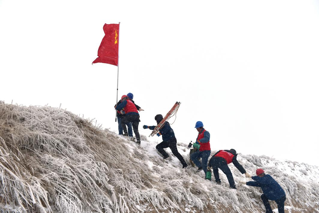 图片1.png