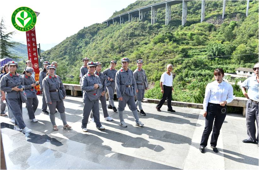 图片21.jpg