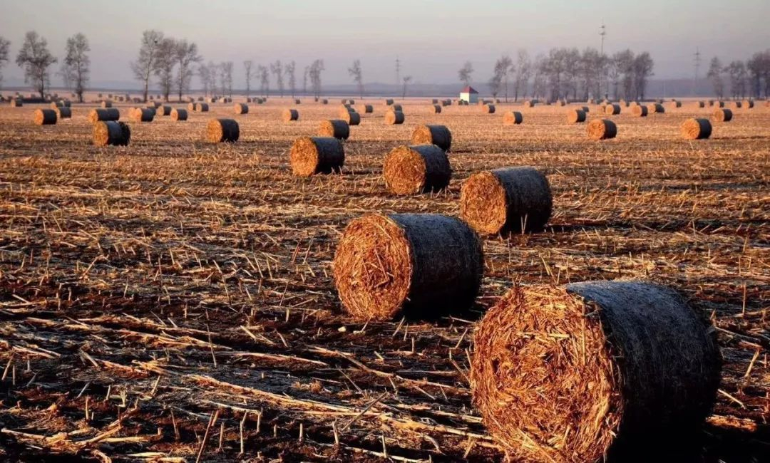 1702863013539396.jpg 001.jpg