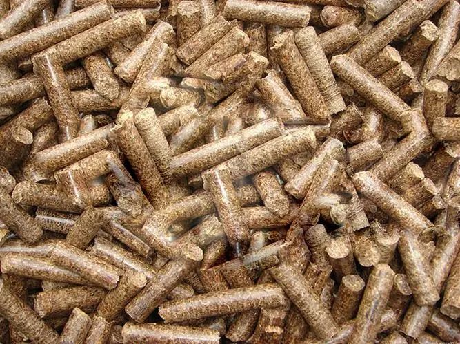 1702863073831704.jpg 002.jpg