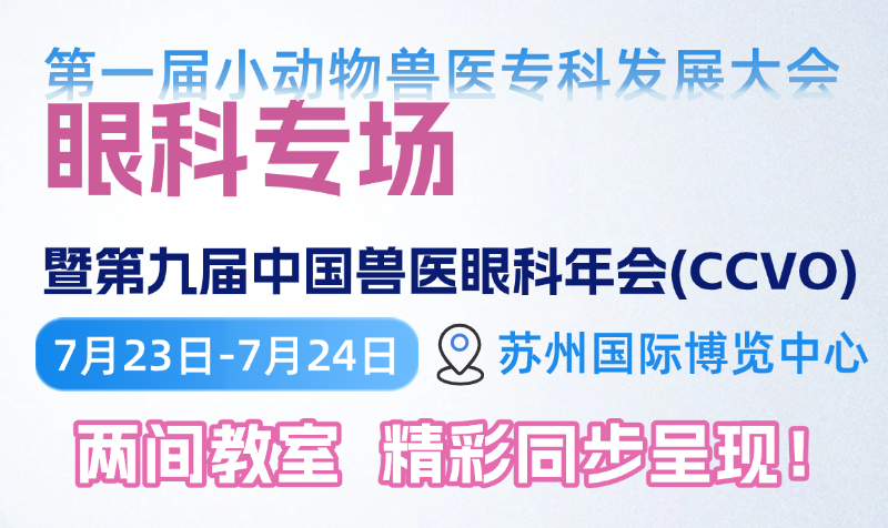 眼科1-2.png