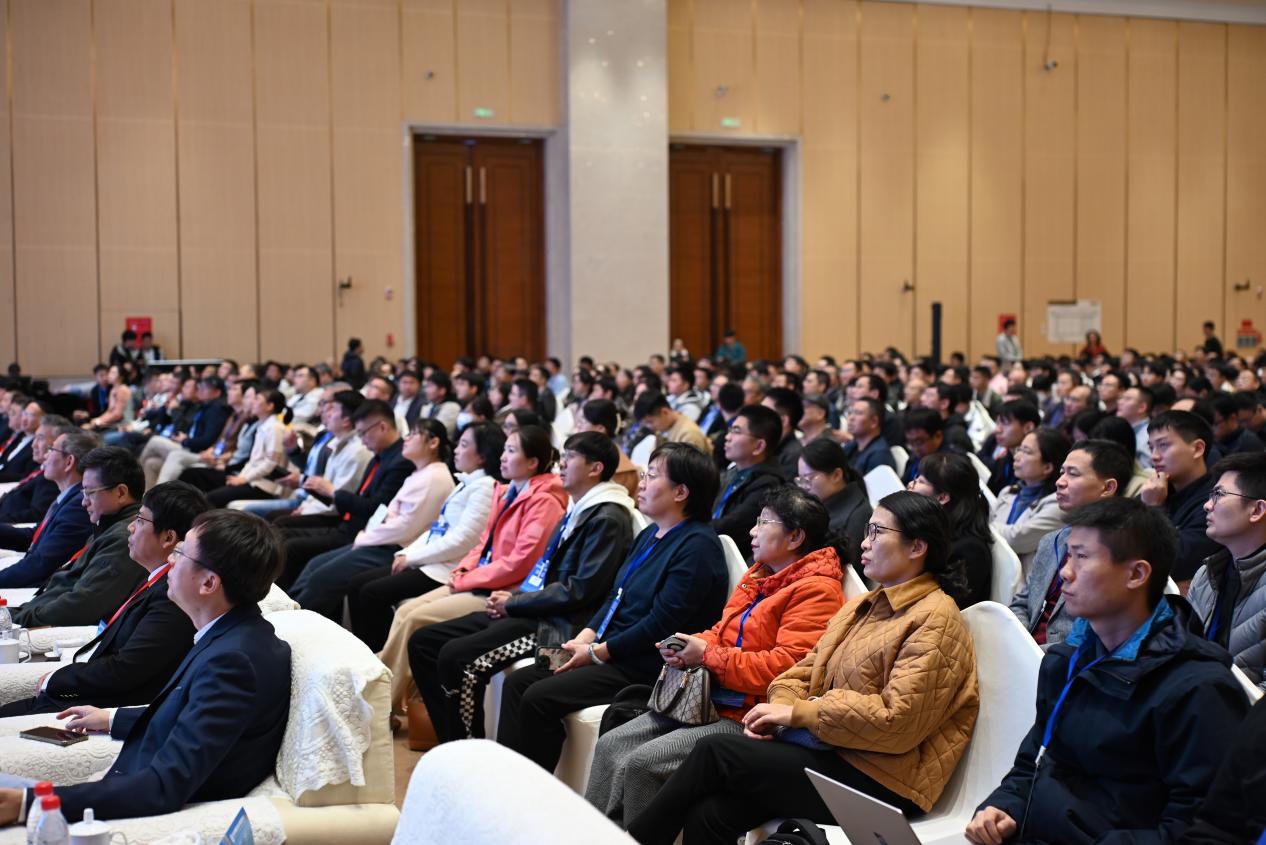 图片14.jpg