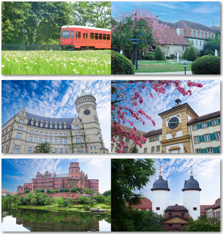 1762961168423127.png 1762961168423127.png