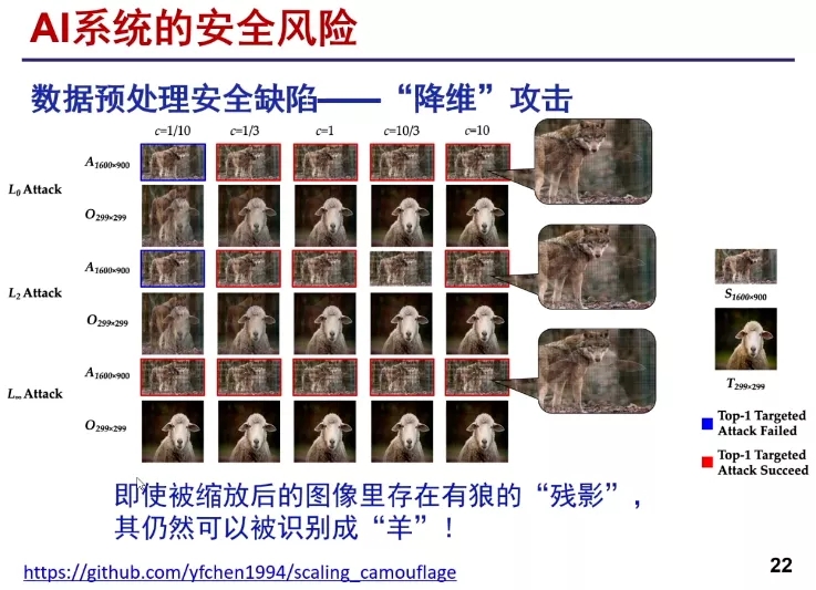 5.webp.jpg