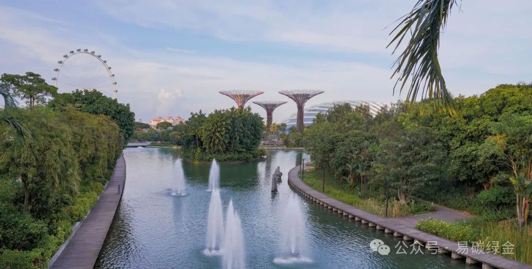新加坡必打卡，濱海灣花園絕美的超級樹