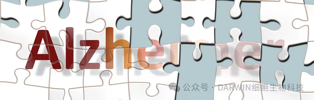 微信图片_20240411182154.jpg