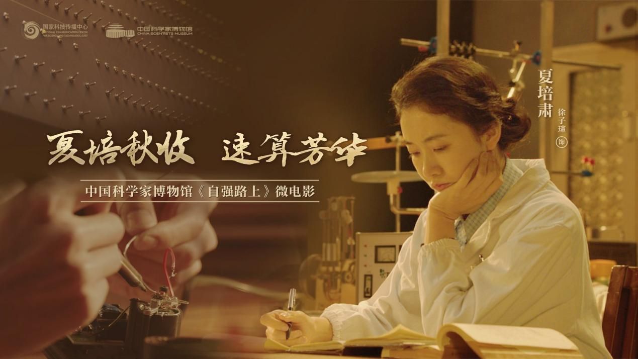《夏培秋收 速算芳华》