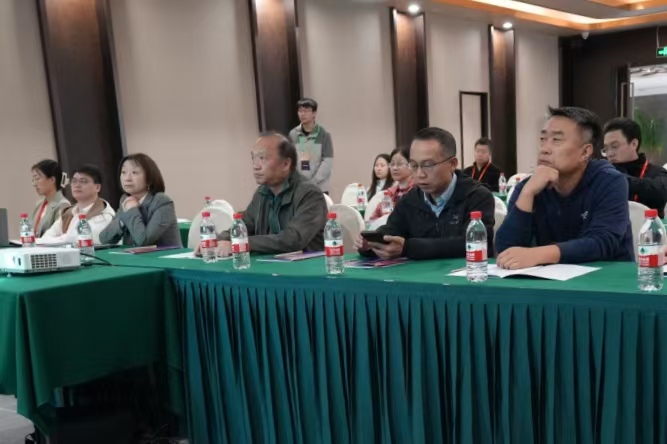 1762133249784443.jpg 青托3.jpg