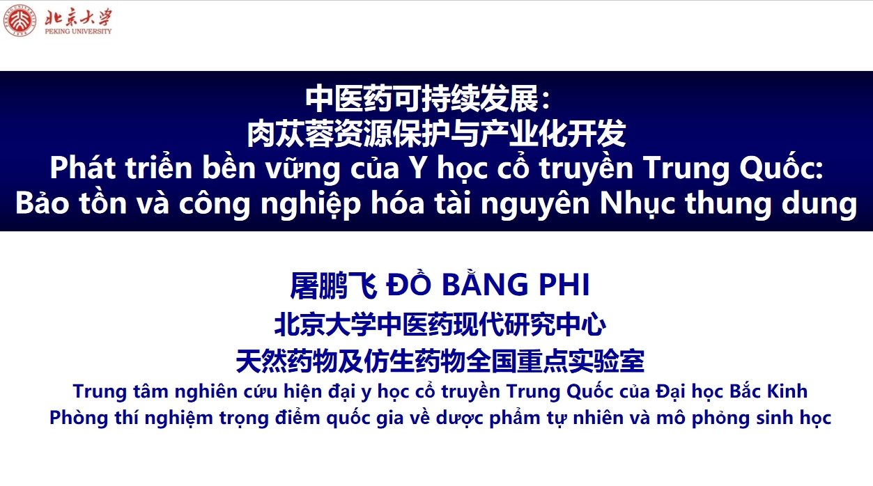 1747620648669067.png