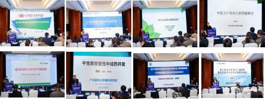 1762826296585264.png 1762826296585264.png