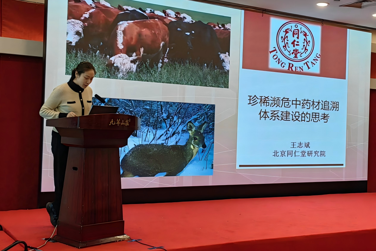 1765334545680008.png 1765334545680008.png