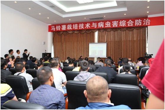 马铃薯大会3.jpg
